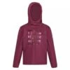 Regatta Sudadera Dream Believe Achieve De Elasticidad Extol Para Niños/Niñas Amaranth
